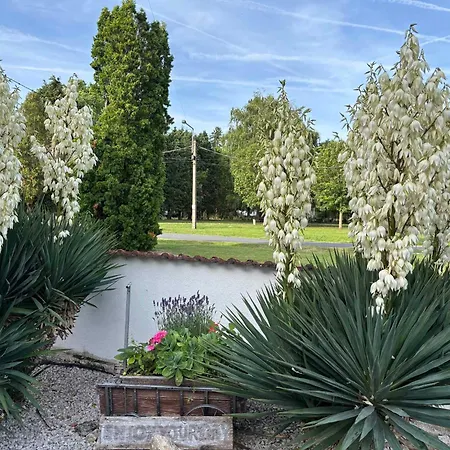 Apartment In Balatonbereny - Balaton 18046 Appartamento *