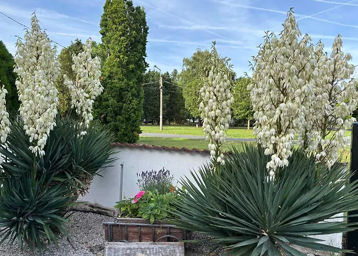 In - Balaton 18046 Apartment *